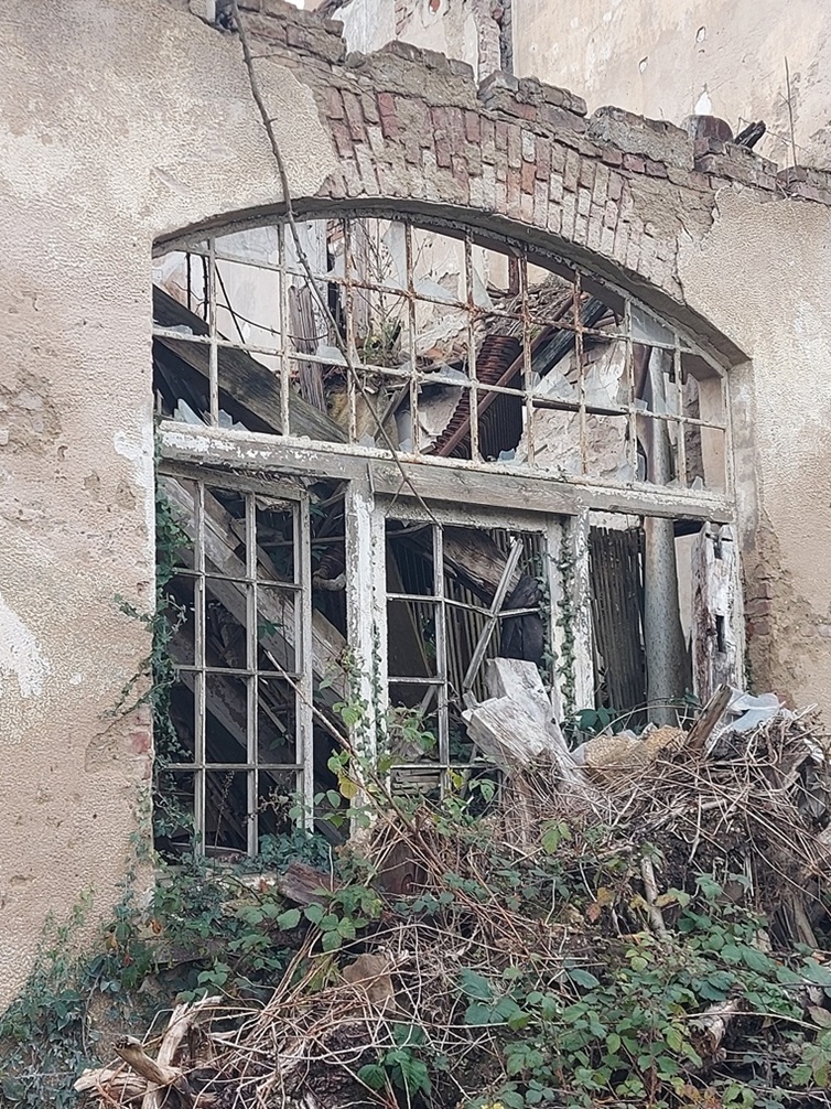 Waldburg - 2025